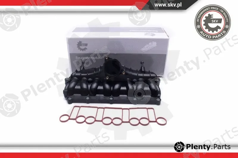Esen SKV 49SKV066 — Intake Manifold Module