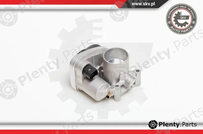Esen SKV 12SKV029 — Throttle Body