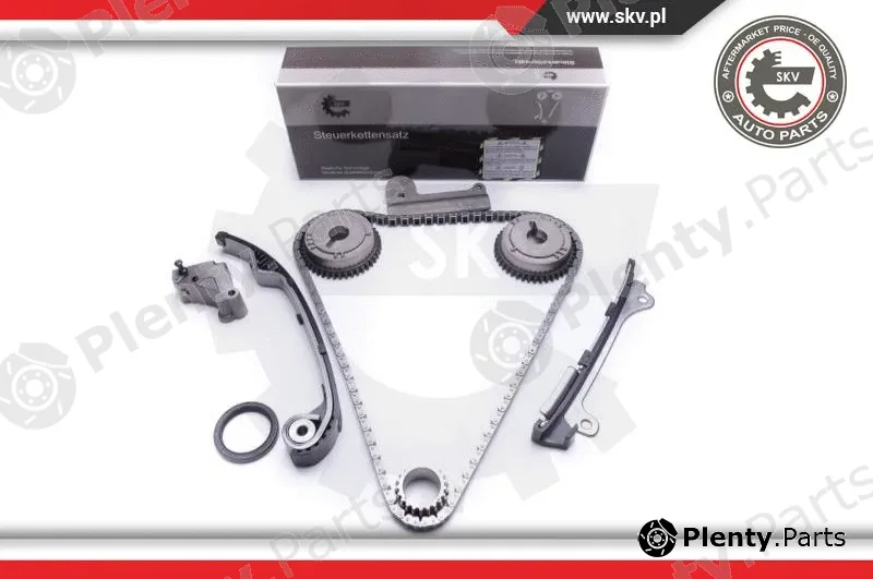 Esen SKV 21SKV191 — Timing Chain Kit