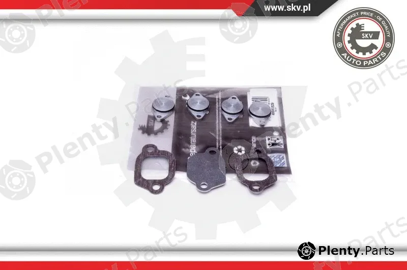 Esen SKV 49SKV529 — Repair Kit, intake manifold module