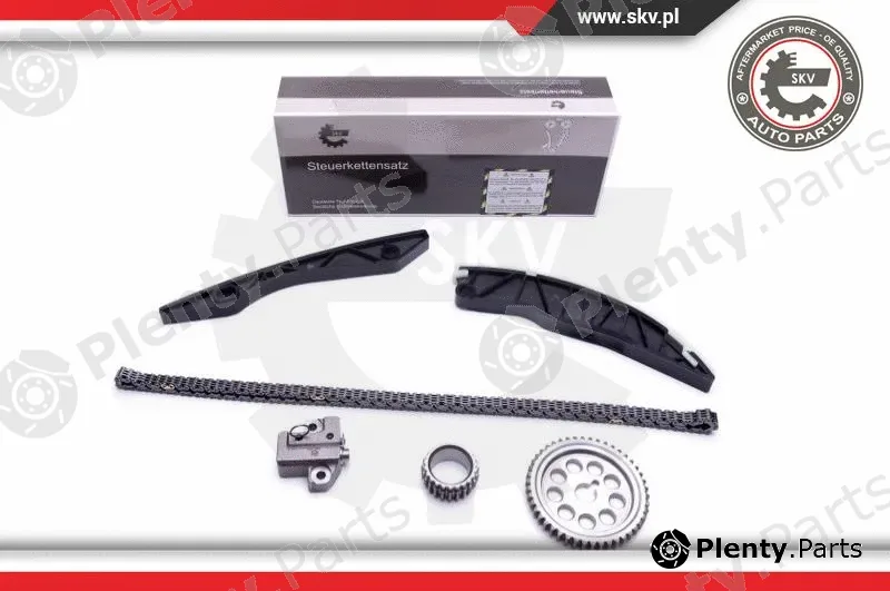 Esen SKV 21SKV150 — Timing Chain Kit