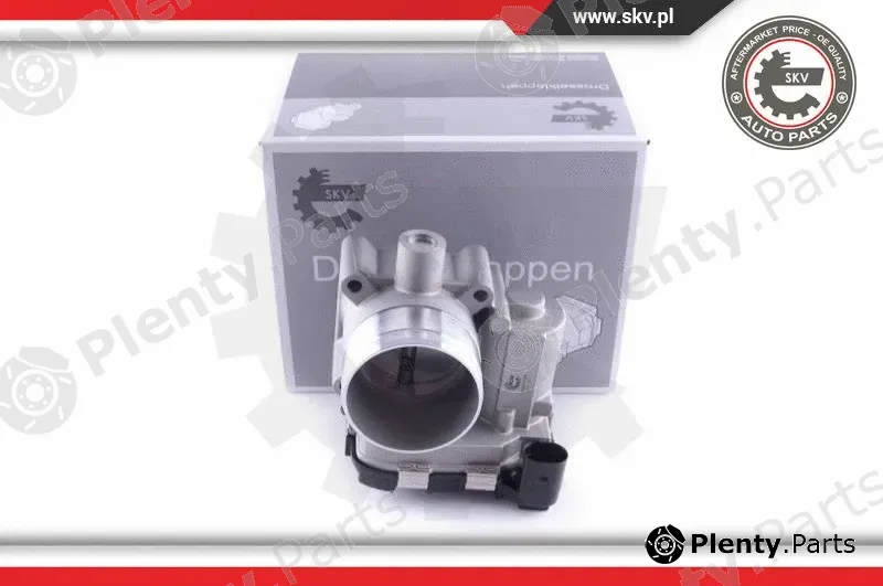Esen SKV 12SKV100 — Throttle Body