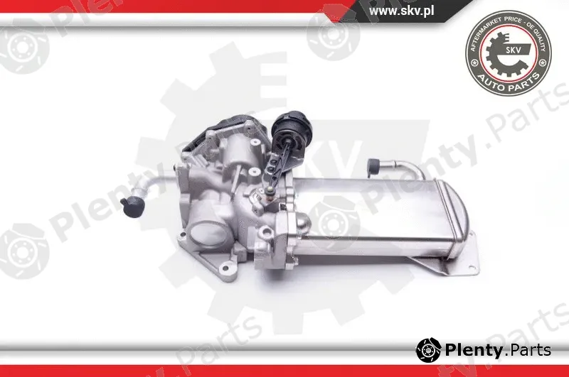 Esen SKV 14SKV154 — EGR Valve