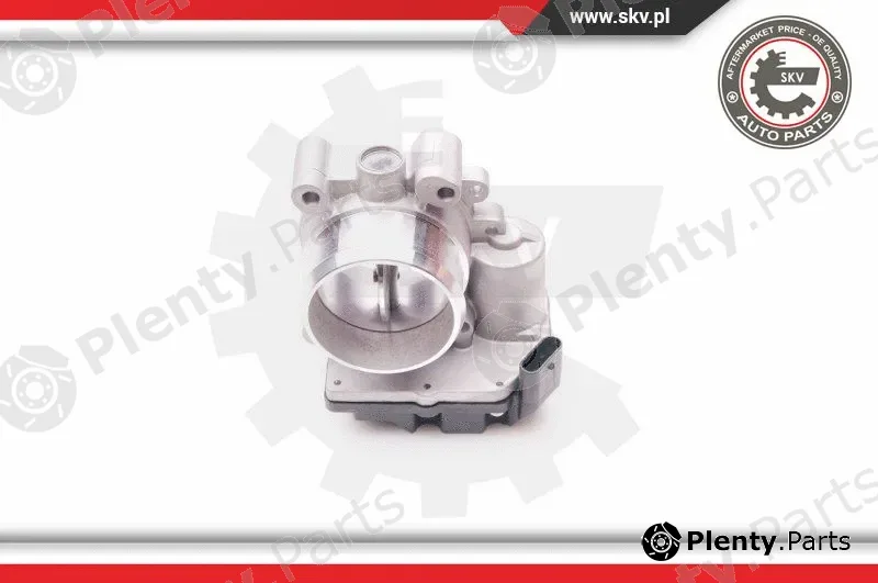 Esen SKV 12SKV060 — Throttle Body