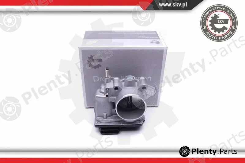 Esen SKV 12SKV089 — Throttle Body