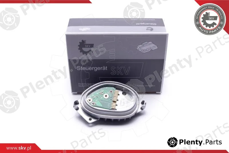 Esen SKV 59SKV175 — Control Unit, lights