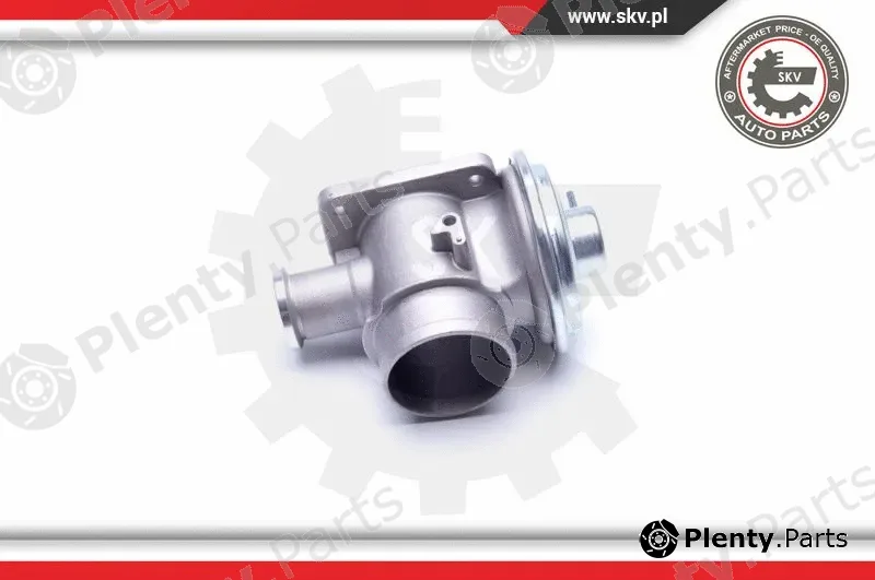 Esen SKV 14SKV179 — EGR Valve