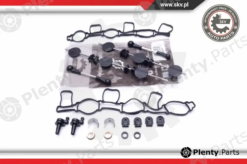 Esen SKV 49SKV500 — Repair Kit, intake manifold module