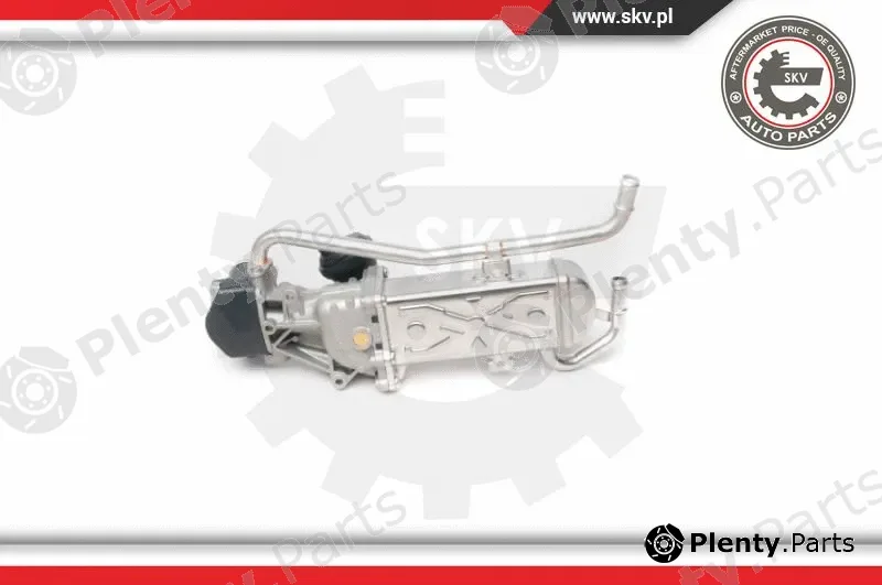 Esen SKV 14SKV095 — EGR Valve