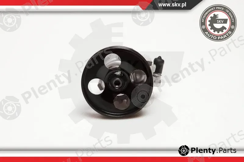 Esen SKV 10SKV100 — Hydraulic Pump, steering