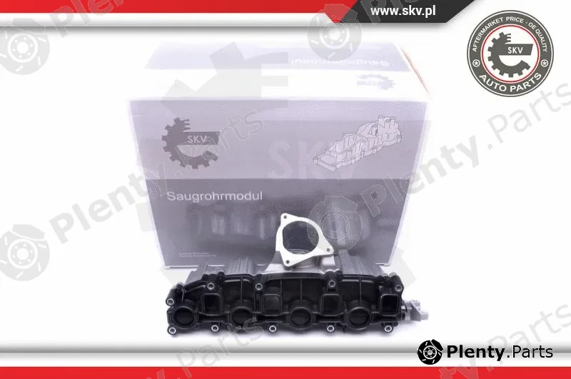 Esen SKV 49SKV006 — Intake Manifold Module
