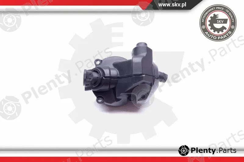 Esen SKV 31SKV077 — Oil Separator, crankcase ventilation