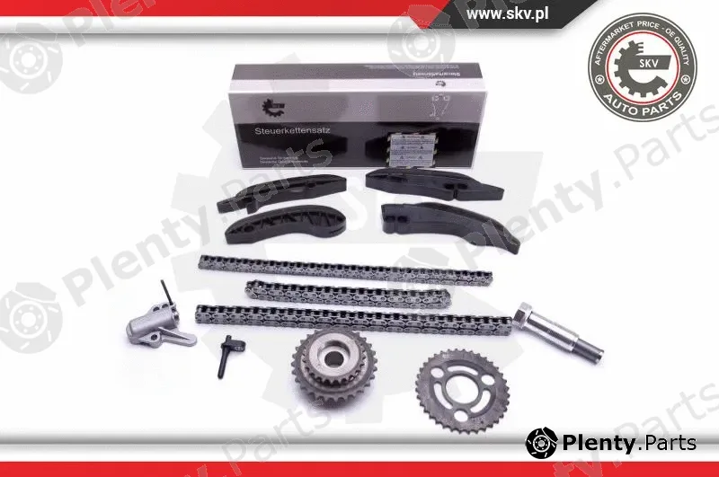 Esen SKV 21SKV174 — Timing Chain Kit