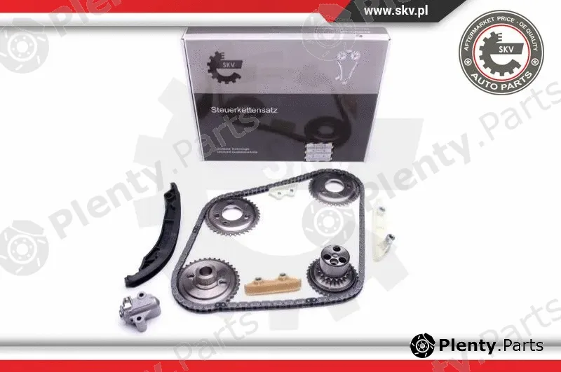 Esen SKV 21SKV120 — Timing Chain Kit