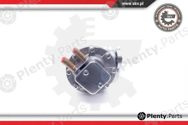 Esen SKV 18SKV019 — Vacuum Pump, braking system