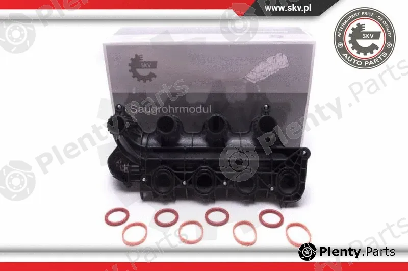 Esen SKV 49SKV065 — Intake Manifold Module