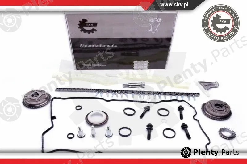 Esen SKV 21SKV117 — Timing Chain Kit