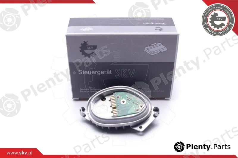 Esen SKV 59SKV176 — Control Unit, lights