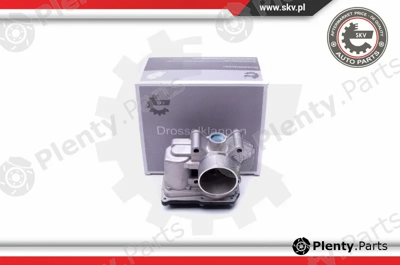 Esen SKV 12SKV076 — Throttle Body
