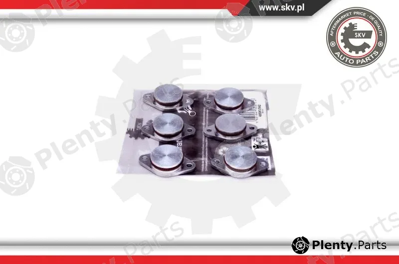 Esen SKV 49SKV542 — Repair Kit, intake manifold module