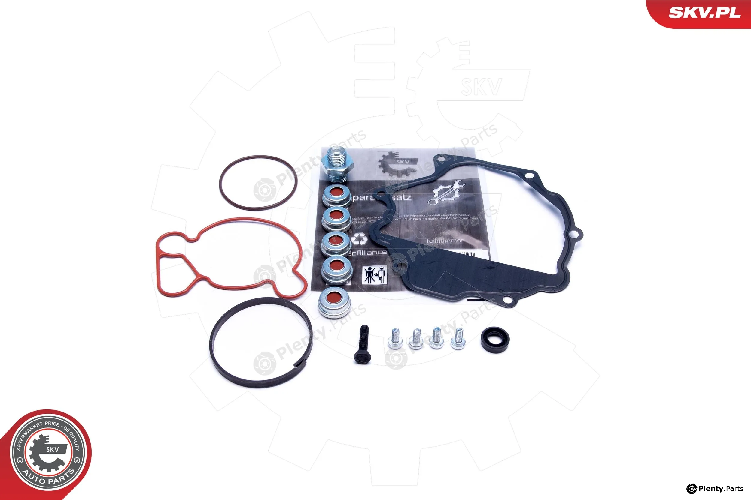 Esen SKV 18SKV809 — Repair Set, vacuum pump (braking system)