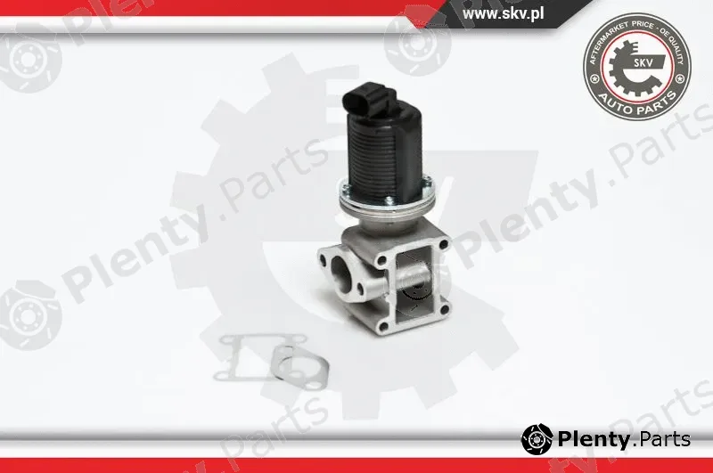 Esen SKV 14SKV012 — EGR Valve