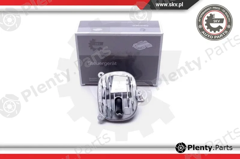 Esen SKV 59SKV143 — Control Unit, dynamic bending light