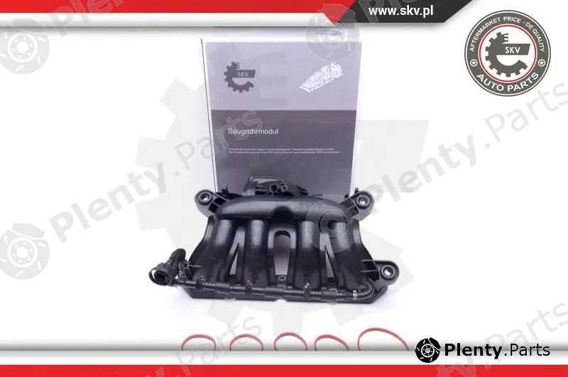 Esen SKV 49SKV045 — Intake Manifold Module
