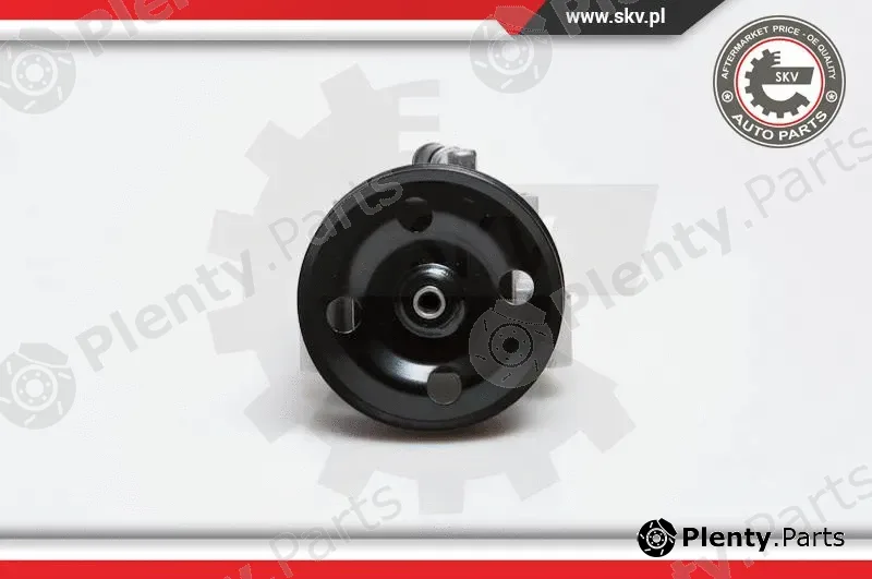 Esen SKV 10SKV091 — Hydraulic Pump, steering