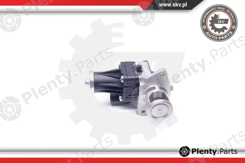 Esen SKV 14SKV159 — EGR Valve