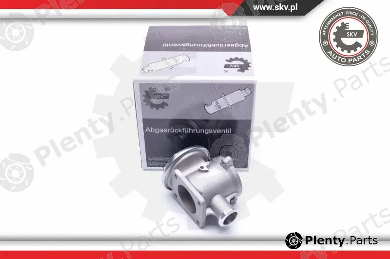 Esen SKV 14SKV178 — EGR Valve