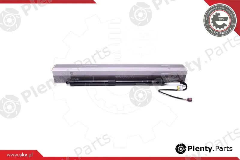 Esen SKV 52SKV902 — Electric Motor, tailgate