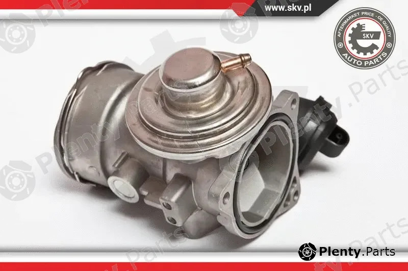 Esen SKV 14SKV024 — EGR Valve