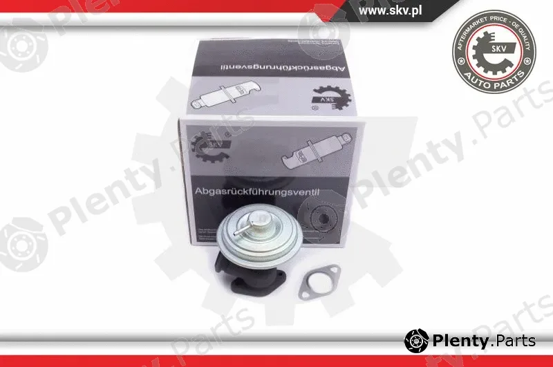 Esen SKV 14SKV203 — EGR Valve