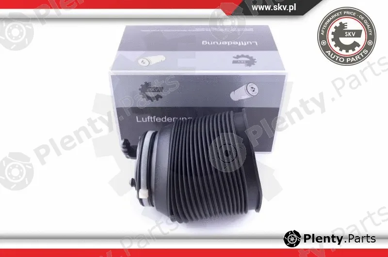 Esen SKV 58SKV005 — Air Spring, suspension