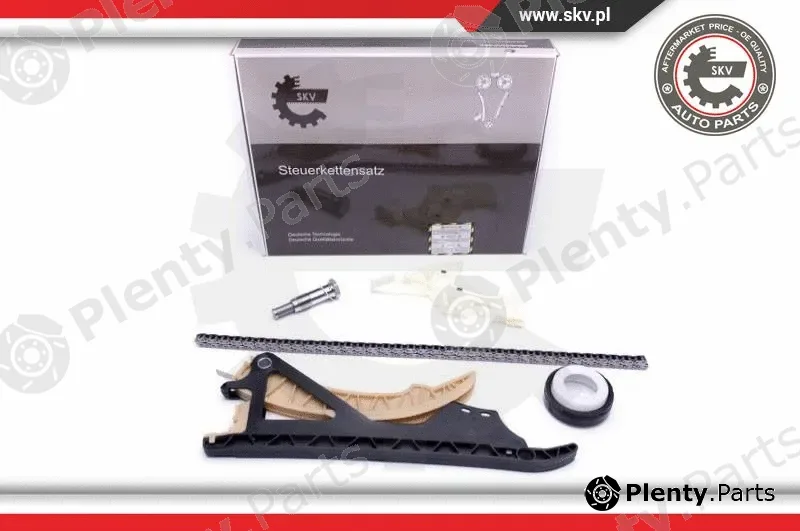 Esen SKV 21SKV169 — Timing Chain Kit
