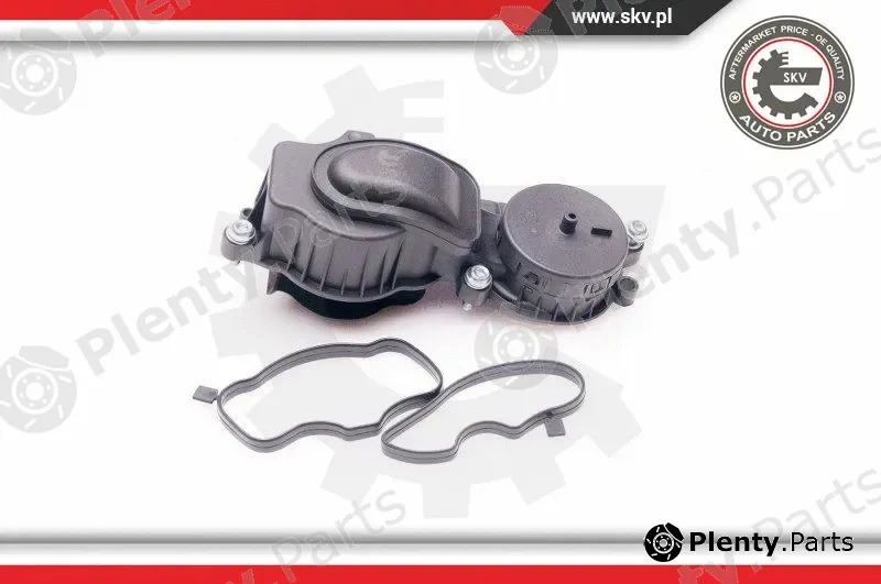 Esen SKV 31SKV036 — Valve, crankcase ventilation
