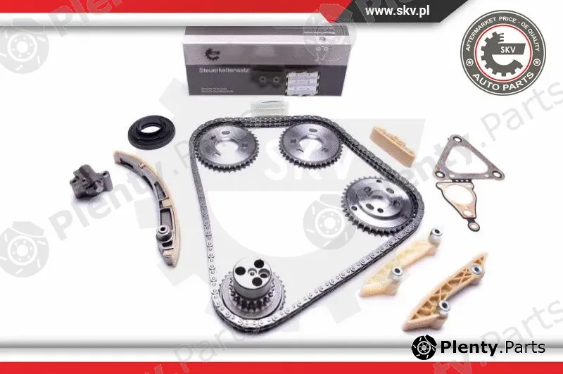 Esen SKV 21SKV207 — Timing Chain Kit