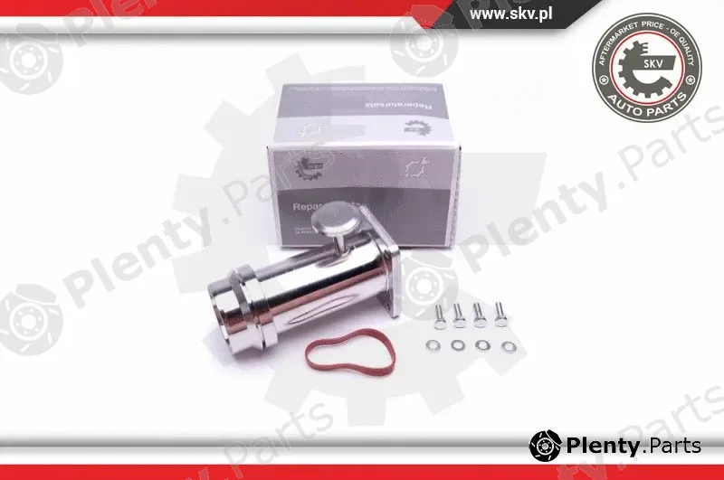 Esen SKV 14SKV509 — Repair Kit, intake manifold module