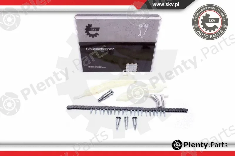 Esen SKV 21SKV116 — Timing Chain Kit
