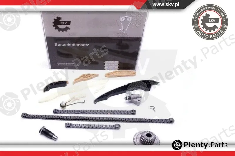Esen SKV 21SKV139 — Timing Chain Kit