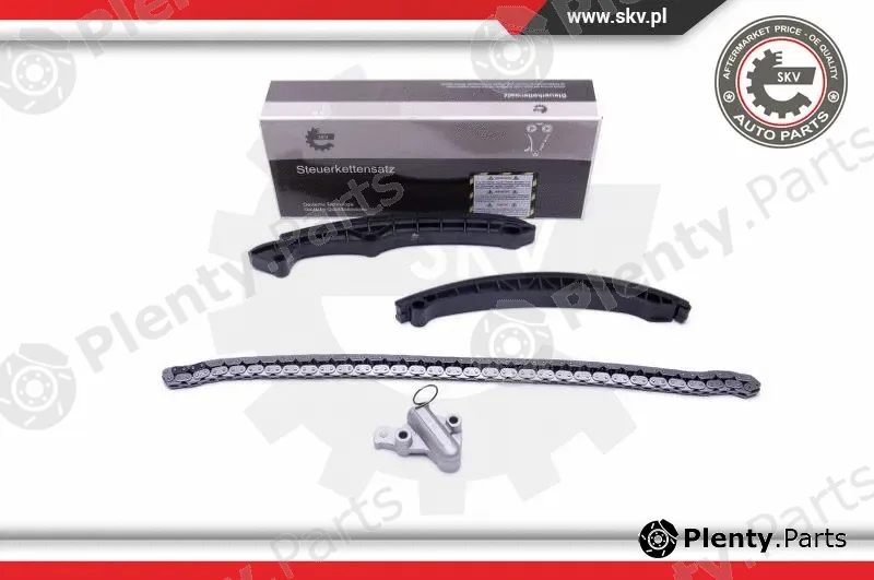 Esen SKV 21SKV160 — Timing Chain Kit