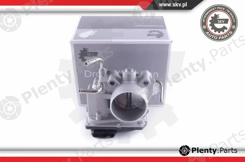 Esen SKV 12SKV099 — Throttle Body