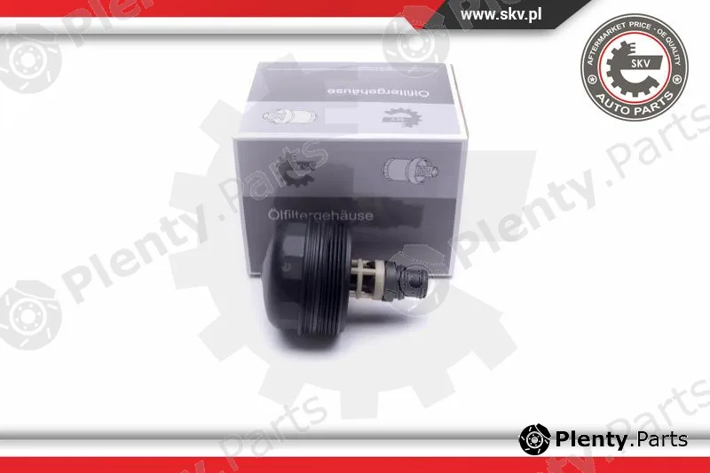 Esen SKV 31SKV185 — Cap, oil filter housing