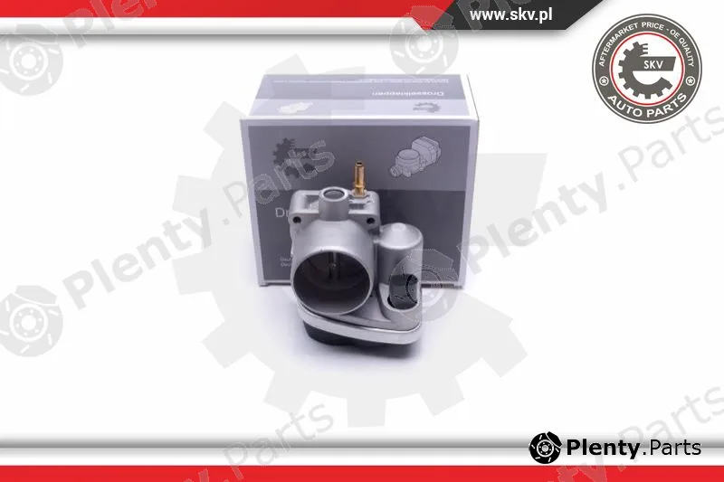 Esen SKV 12SKV103 — Throttle Body