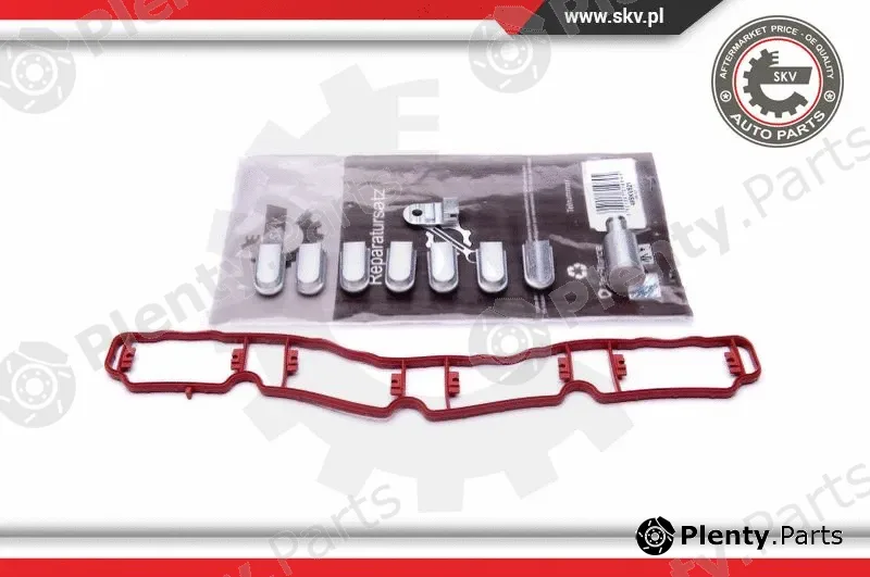 Esen SKV 49SKV521 — Repair Kit, intake manifold module
