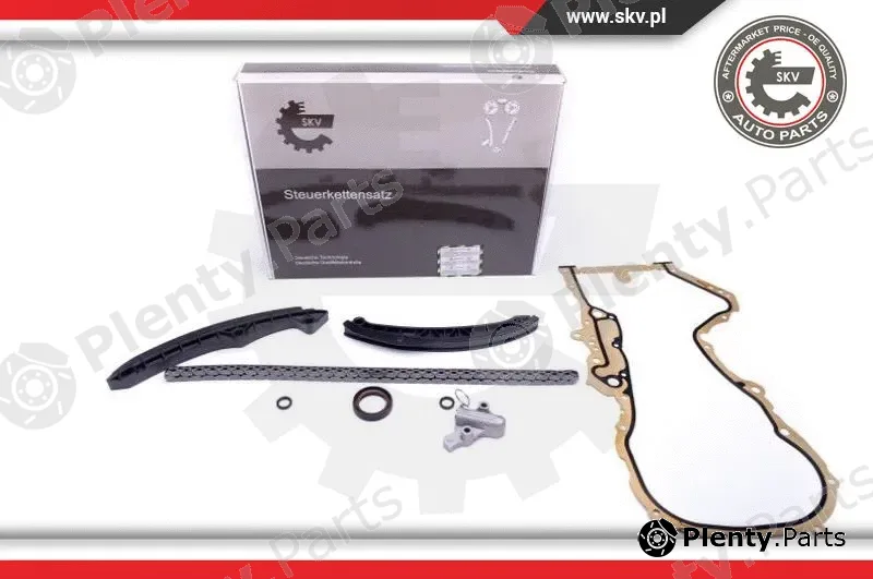 Esen SKV 21SKV137 — Timing Chain Kit
