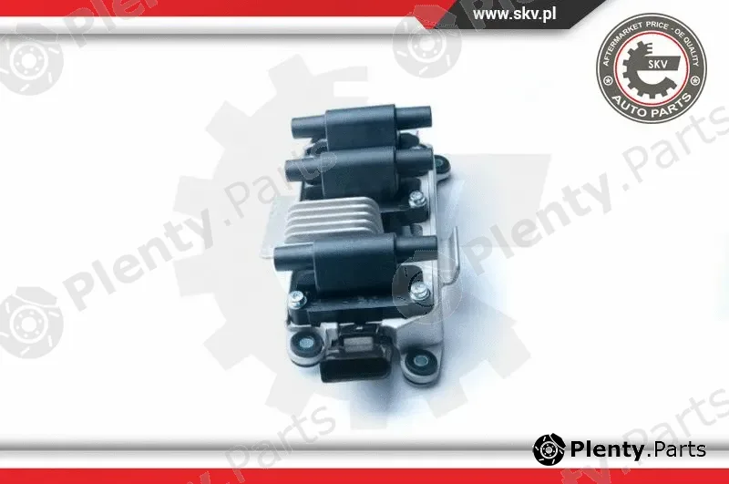 Esen SKV 03SKV216 — Ignition Coil