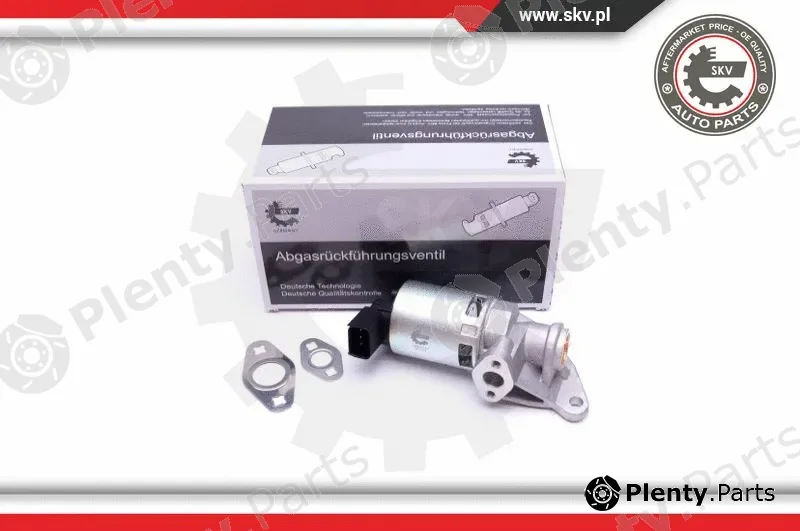 Esen SKV 14SKV208 — EGR Valve