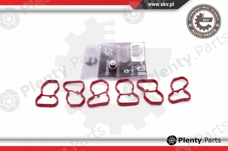 Esen SKV 49SKV522 — Repair Kit, intake manifold module